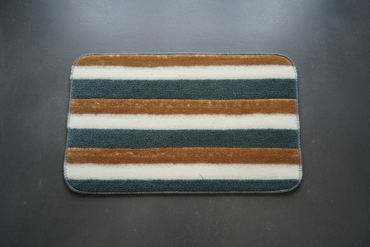 Versatile Absorbent Mat – 25"x16" Ultra-Soft Microfiber Quick-Dry Mat with Non-Slip Backing for Bathroom, Kitchen, and Living Spaces ( Random Design)