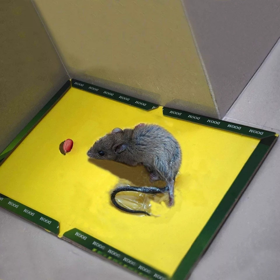 Reusable Expert Mouse &amp; Rat Glue Trap – Heavy Duty, Strong Adhesive, Pre-Baited, Non-Toxic, Odorless, Child-Safe Pest Control for Rodents, Insects, and Bugs